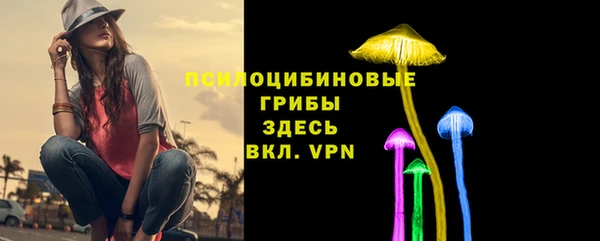 мет Мегион