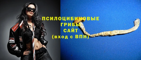 мет Мегион