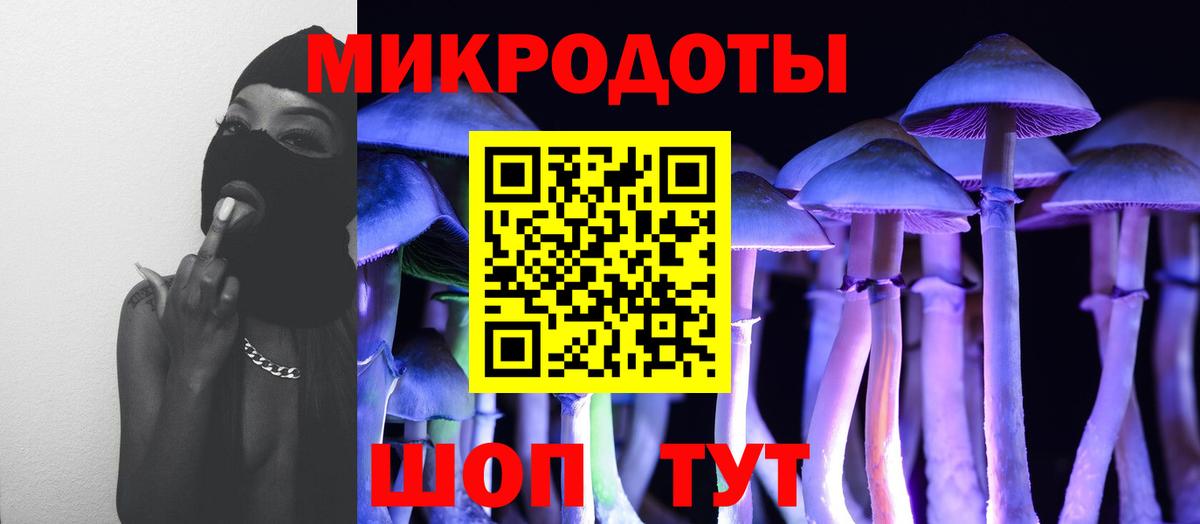 Салават  Галлюциногенные грибы Psilocybe  Вход с VPN 